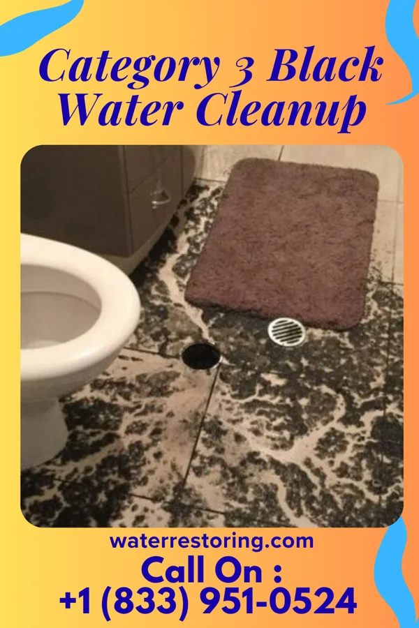 Category 3 Black Water Cleanup in Olustee, OK